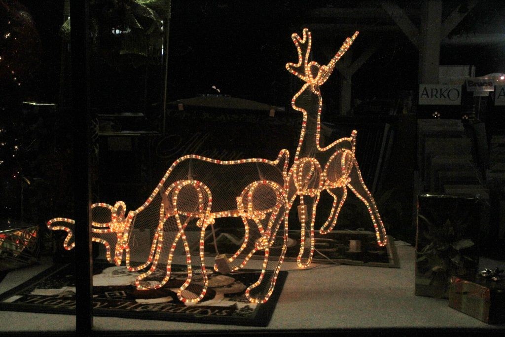 image of Christmas in Fulton 2012