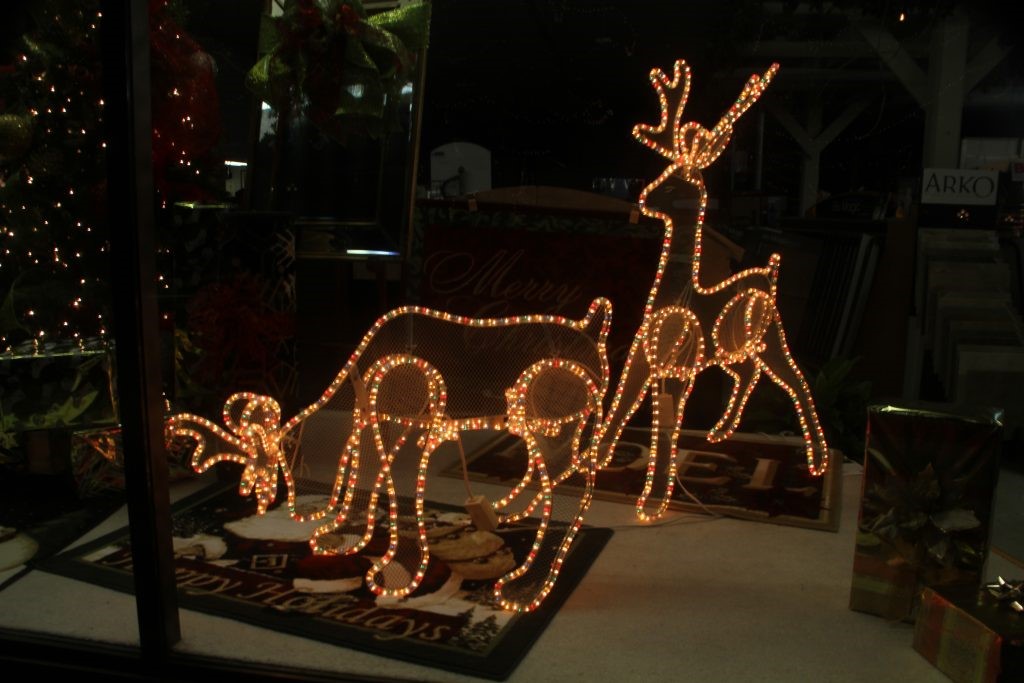 image of Christmas in Fulton 2012