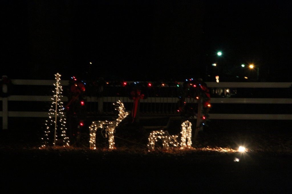 image of Christmas in Fulton 2012