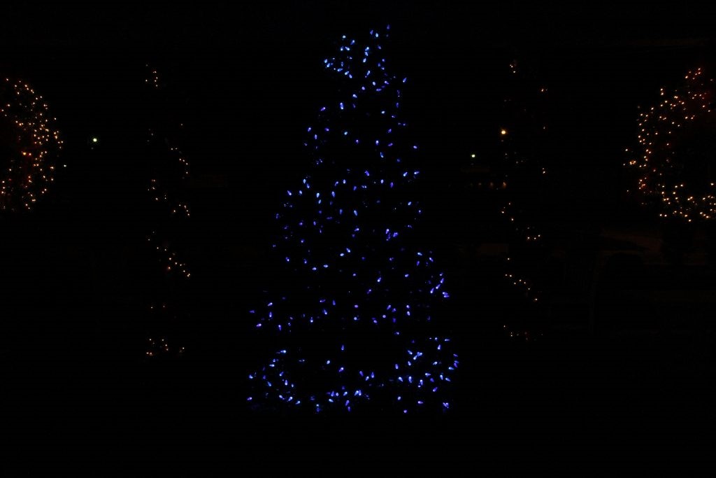 image of Christmas in Fulton 2012